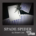 ̵ ̴ - Spade Spider