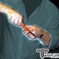 ȣ�� �� �ΰ� - Zoran's Horror Cut Finger