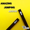 ���ڳ�� �����¡ ���� ���ο� - Economy Amazing Jumping Arrow