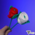 ��Ű ���� - Silky Rose