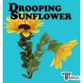 ����� ���ö�� - Dropping Sunflower