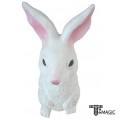 <�����ǰ> ���ؽ� ���� - Latex Rabbit