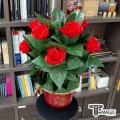 ����� 10 ���� ���ڳ�� - Blooming 10 Rose Economy