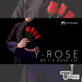 ���� ���� - Y-Rose