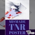 ̵̽ ظ (ũ ) - Mismade TnR Poster