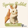 �������� ������ ���� - Tejinaya Spring Rabbit