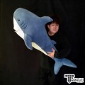 ���Ǿ ��ũ - Appearing Shark