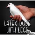 ���ؽ� ���� ���� ���� - Latex Dove with Legs