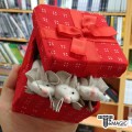 ���� ���� �� �� - Mouse in Gift Box
