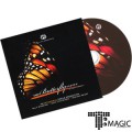�����ö��� ����Ʈ - The Butterfly Effect