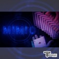 �̹� - MIMIC