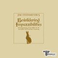 �������� ����������Ƽ - Bewildering Impuzzibilities
